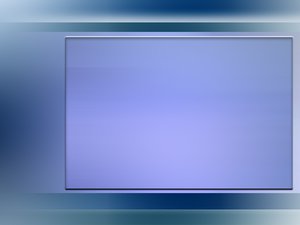 风险管控标准操作流程指南