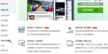站长工具平台使用方法