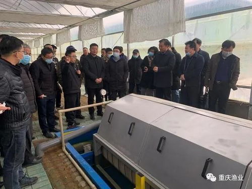 重庆市水产总站副站长翟旭亮参加全国水产种业质量提升暨尾水治理模式现场