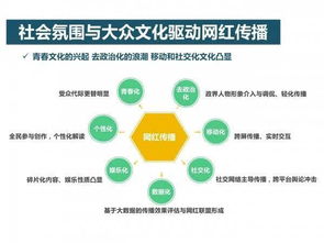 网红分析报告 网红的灿烂与虚浮