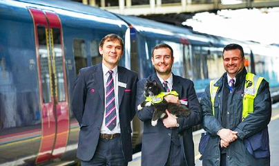 制服与工牌 一只喵的职场传奇