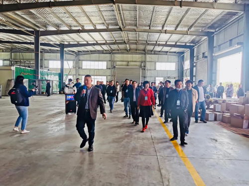 砂里淘金出精品，稳中求进创品牌——豫腾研磨新厂正式启动，开启发展新篇章