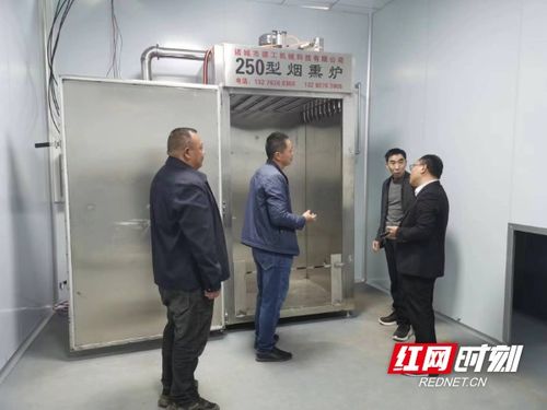 东安县石期市镇到花桥飞翔食品工厂观摩学习
