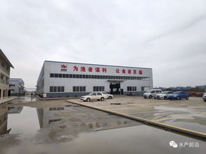 西部最大的名优鱼苗繁育区域,2019怎么干 他们这样说
